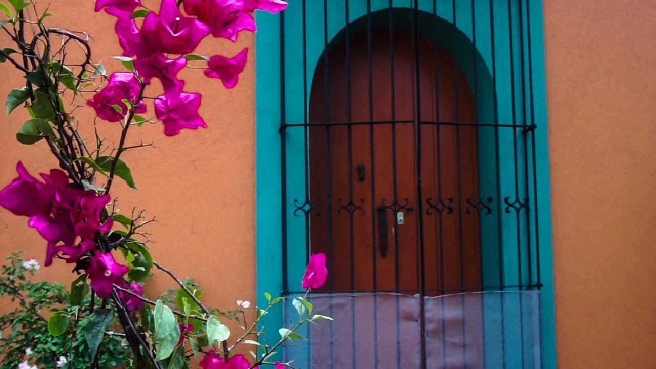 Casa Frida B&B Oaxaca Exteriér fotografie