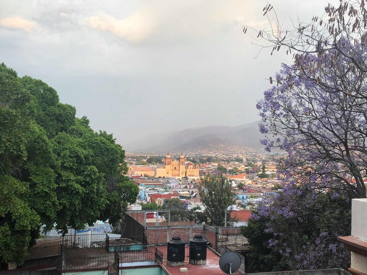Casa Frida B&B Oaxaca Exteriér fotografie